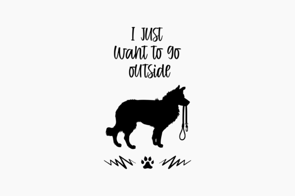Border Collie Ask to Go Outside